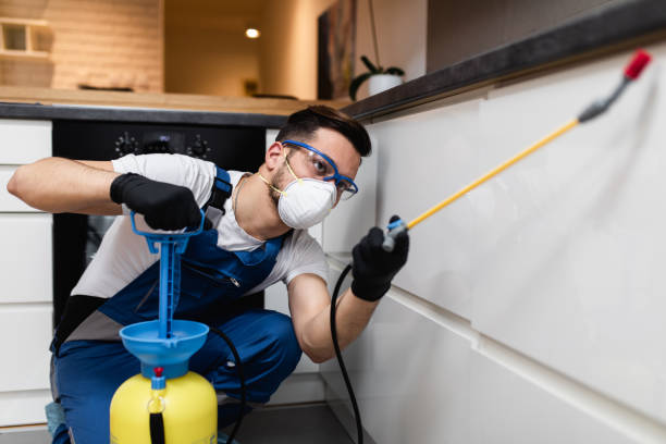 Best Termite Control Services  in Skyline, AL