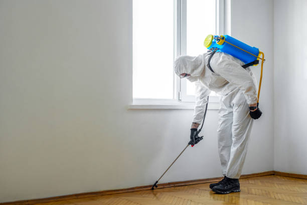 Best Bed Bug Extermination  in Skyline, AL