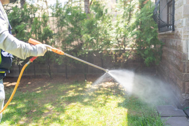 Best Insect Control  in Skyline, AL