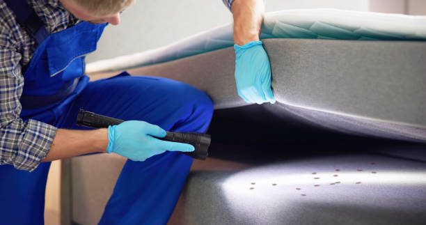 Best Best Pest Control Companies  in Skyline, AL