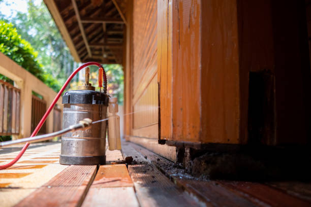 Best Best Pest Control Companies  in Skyline, AL