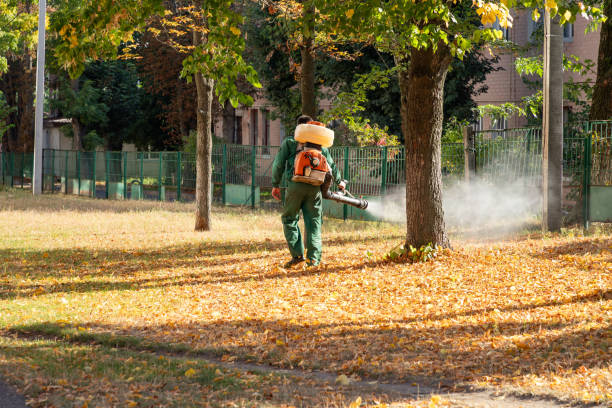 Best Wildlife Control Services  in Skyline, AL