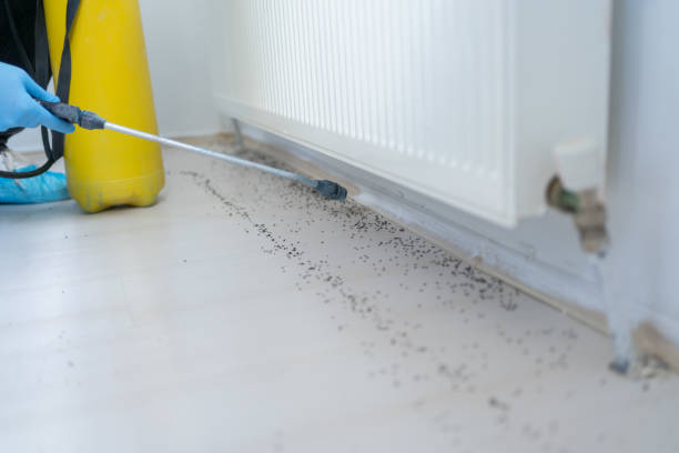 Trusted Skyline, AL Pest Control Experts