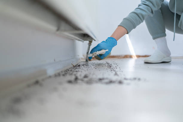 Pest Control Cost in Skyline, AL