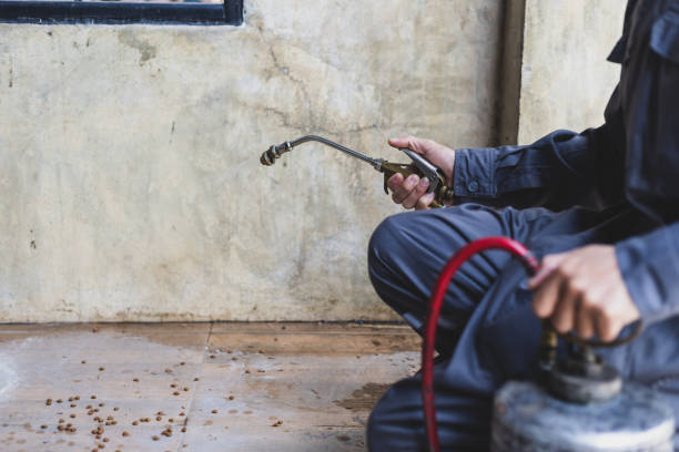 Best Best Pest Control Companies  in Skyline, AL